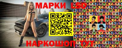 шишки Нальчик