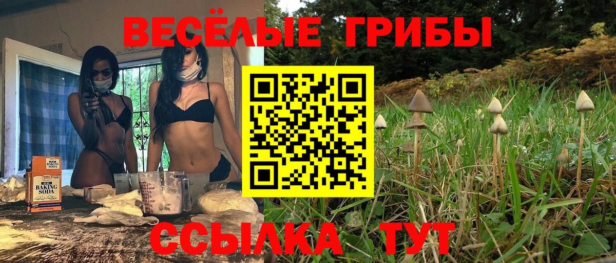 Галлюциногенные грибы Psilocybine cubensis  Вход с VPN  Унеча 