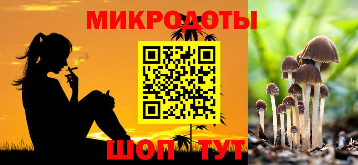 Псилоцибиновые грибы Cubensis Унеча